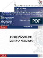 Neuroanatomía