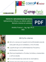 Cropcheck Arandanos.pdf
