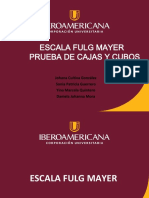 Escala Fulg Mayer y Cajas y Cubos PDF