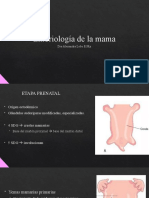 Embriología de La Mama