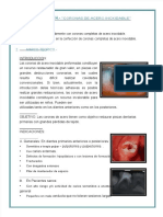 PDF Practica n14 Coronas de Acero Inoxidable