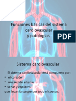Funciones Básicas Del Sistema Cardiovascular