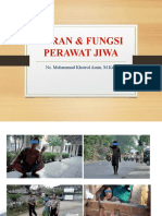 Peran Dan Fungsi Perawat Jiwa