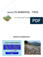 Impacto Ambiental - Tipos