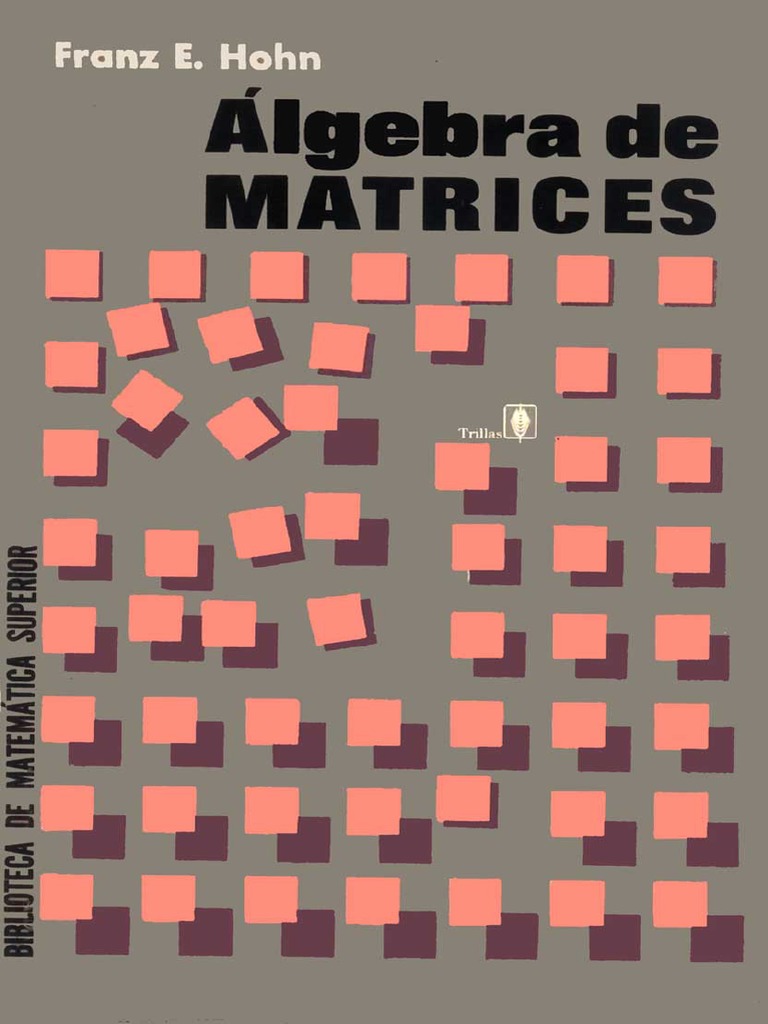 Algebra de Matrices - Franz E. PDF | PDF