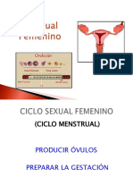 Ciclo Menstrual