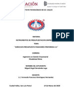 Ejercicios Presupuesto Financiero Proforma U.4 - Miguelangelhernandezlugo