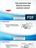 3 Exercícios Jelq poderosos de aumento peniano natural.pdf