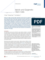 Sirtuins in Metabolic and Epigenetic Regulation of Stem Cells