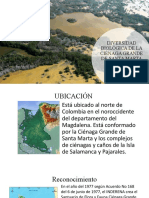 Ciénaga Grande de Santa Marta, hogar de rica diversidad biológica