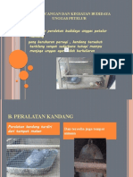 POWER POINT PRAKARYA BUDIDAYA UNGGAS PETELUR