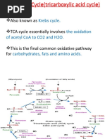 Also Known As TCA Cycle Essentially Involves This Is The Final Common Oxidative Pathway For