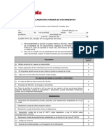 Formato Declaracion Documento