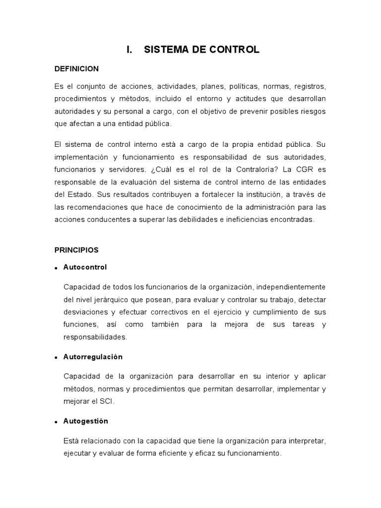 Sistema de Control Interno y Plan Anual | PDF | Auditoría | Responsabilidad