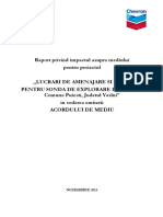Raport Privind Impactul Asupra Mediului - SC CHEVRON ROMANIA EXPLORATION AND PRODUCTION SRL - Explorare - Puiesti 1B, Com. Puiesti - 28.11.2013