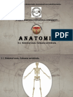 Anatomie Curs 3.1