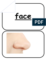 Face Flashcards