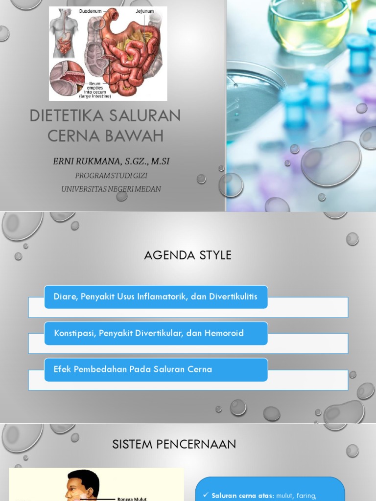 Dietetika Saluran Cerna Bawah | PDF