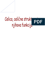 Ung Fzo Ok1 Zde Sno Celica Celicne Strukture in Njihova Funkcija 01