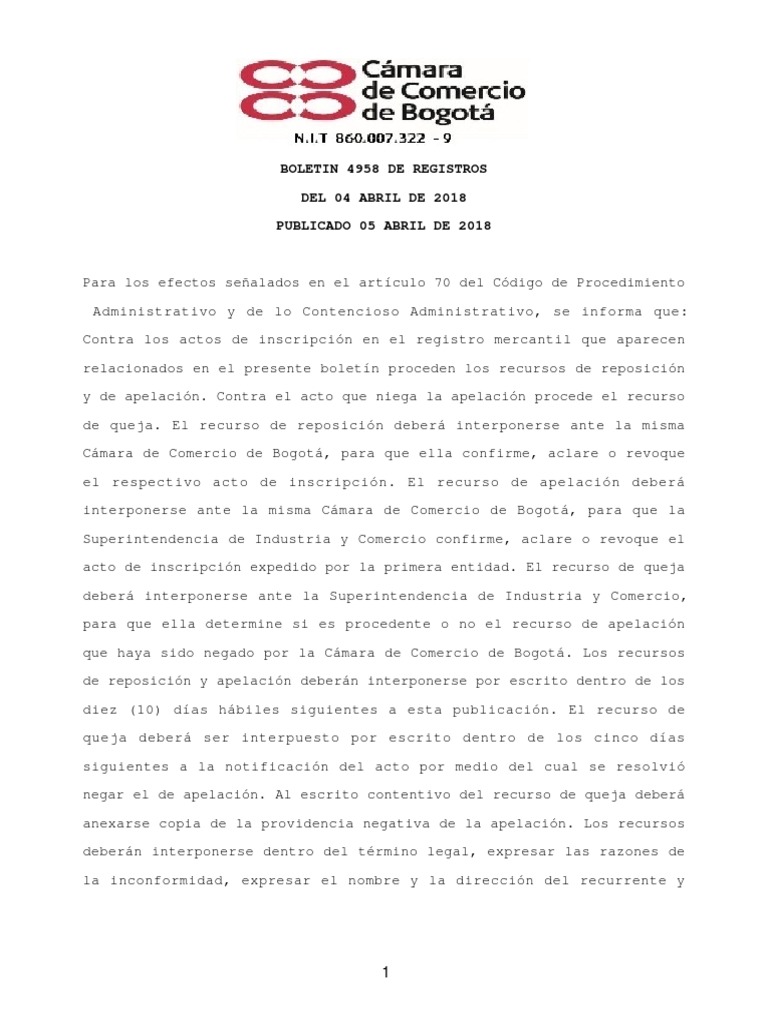 Renato Ruiz Aguirre - Gerente general - CORPORACIÓN RAGUI S.A.S.