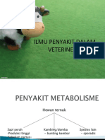 Pejyakit Metabolisme