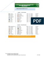 Calendario_partidos_Bicentenario_2010v4