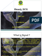 ECG Heart Signal