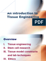 An Introduction To Tissue Engineering