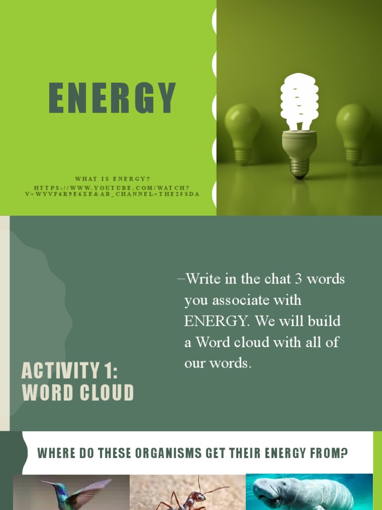 Understanding Energy Sources and Concepts | PDF