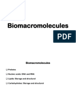 Biomacromolecules: Proteins, Nucleic Acids, Lipids and Carbohydrates