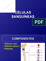 Celulas Sanguíneas