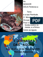Impactos Ambientais Jornadas das Águas 22 de Marco de 2006 Governo do  Amazonas SEARH