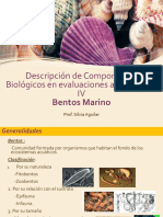 Clase Semana X Semestre 2015-I Bentos Marino SAguilar