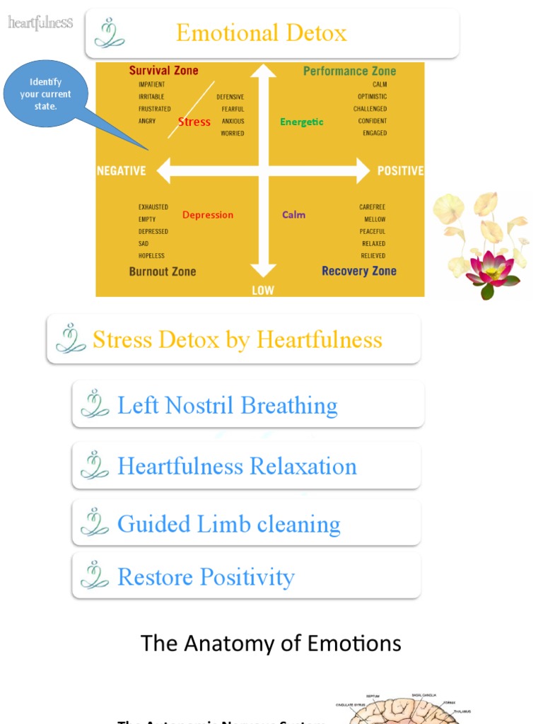 Heartfulness Cleaning and Stress Management PDF Emotions Stress