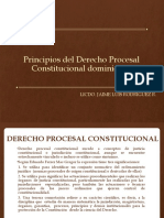 Principios del Derecho Procesal Constitucional (1).pptx