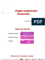 FIZIO Tot PDF