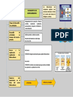 ORGANIZADOR Visual PDF