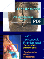 Anatomia Trdimensional 2010