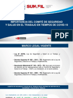 Comité de Seguridad Y Salud en El Trabajo