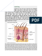 Các phương pháp triệt lông