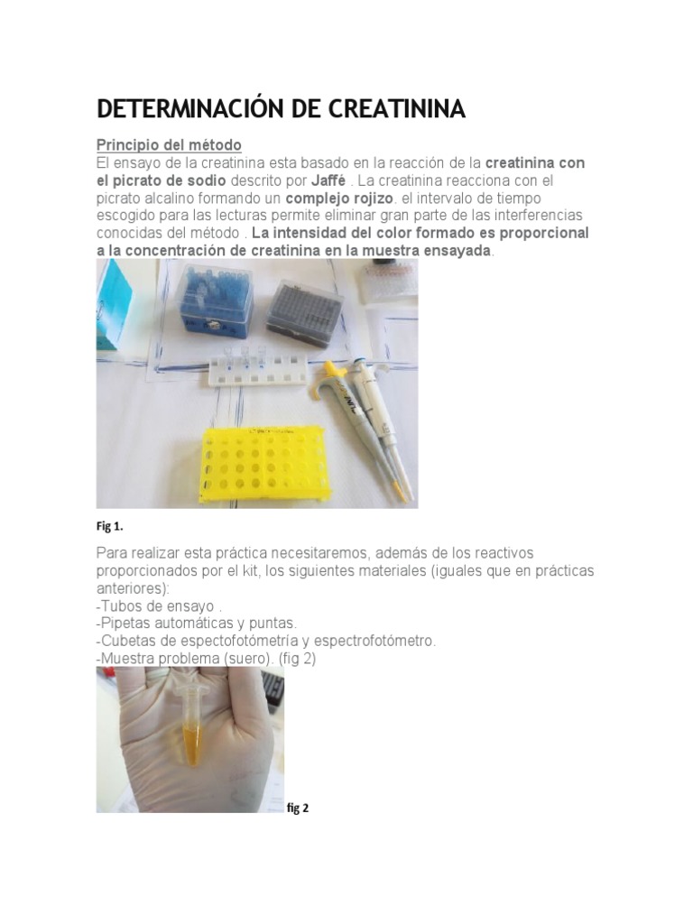 Determinación de Creatinina | PDF