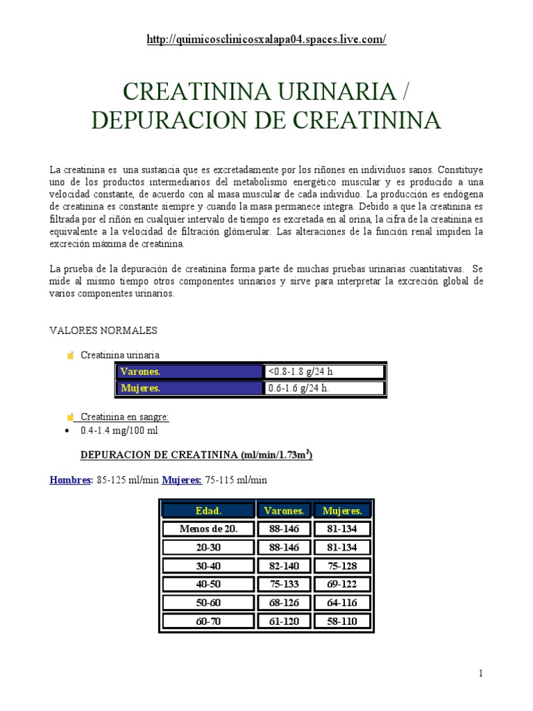 Depuración De Creatinina: Valores Normales Y Para Qué Sirve – MPHG