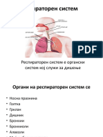 Респираторен систем