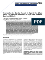 Investigating The Genetic Diversity in Upland Rice (Oryza Sativa L.) Genotypes Evaluated at Gojeb and Guraferda, Southwest Ethiopia