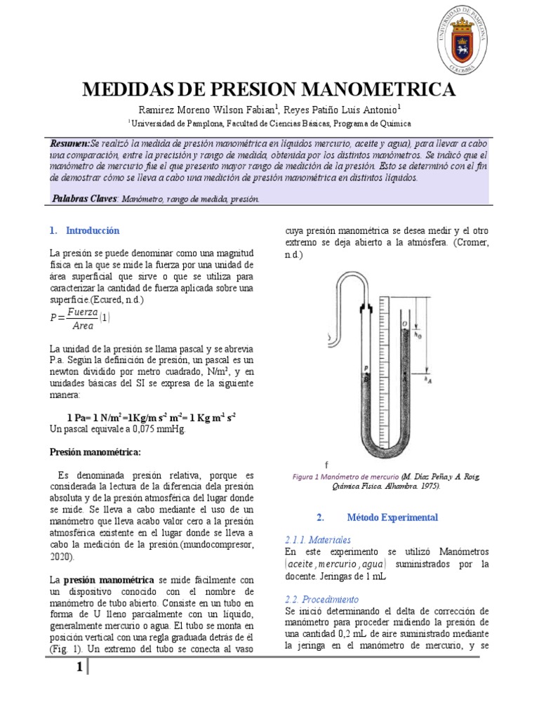 Informe Medidas de Presion Manometrica | PDF | Medida de presión | Presión