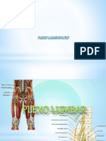 plexolumbosacroprofe-copia-150526004026-lva1-app6892