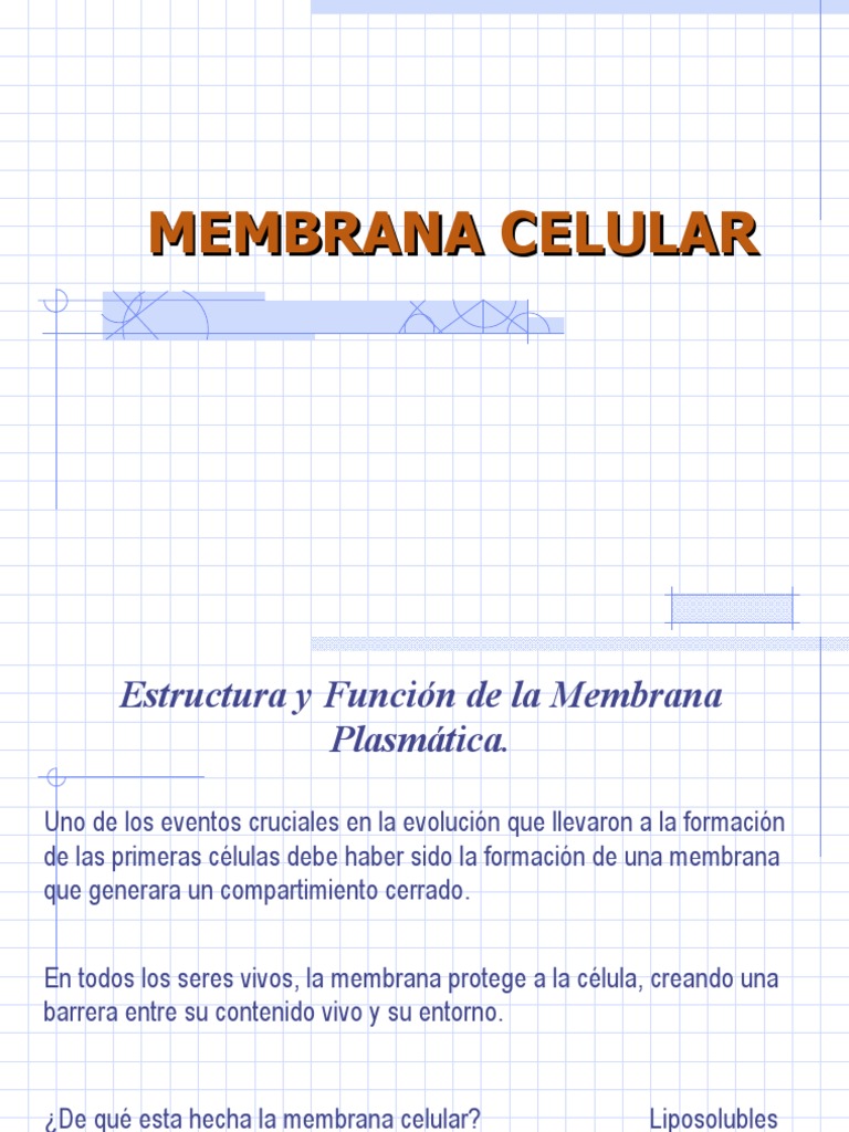 Estructura y Función de la Membrana Celular | PDF | Retículo ...