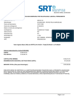 LiquidacionPrestacionDinerariaPorILP PDF