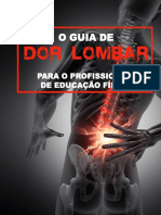 guia Dor lombar.pdf