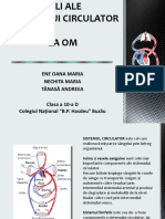 Boli Ale Sistemului Circulator